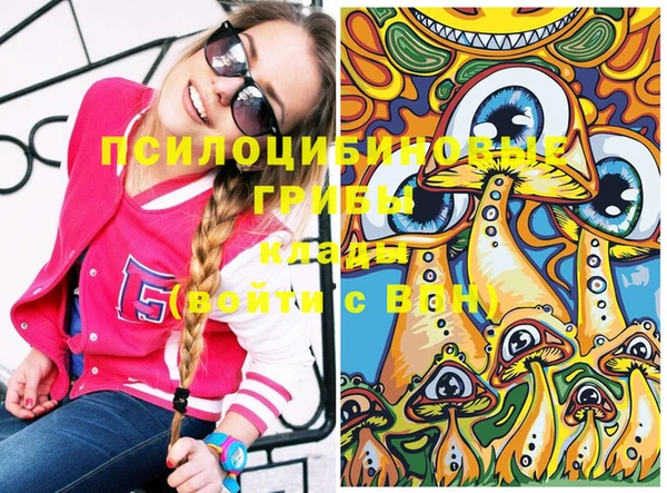 молекула духа Магас