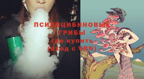 молекула духа Магас
