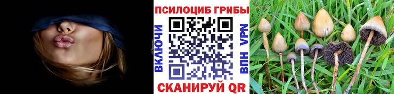 как найти наркотики  маркетплейс наркотические препараты  Галлюциногенные грибы ЛСД  Санкт-Петербург 